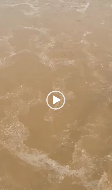 Video thumb