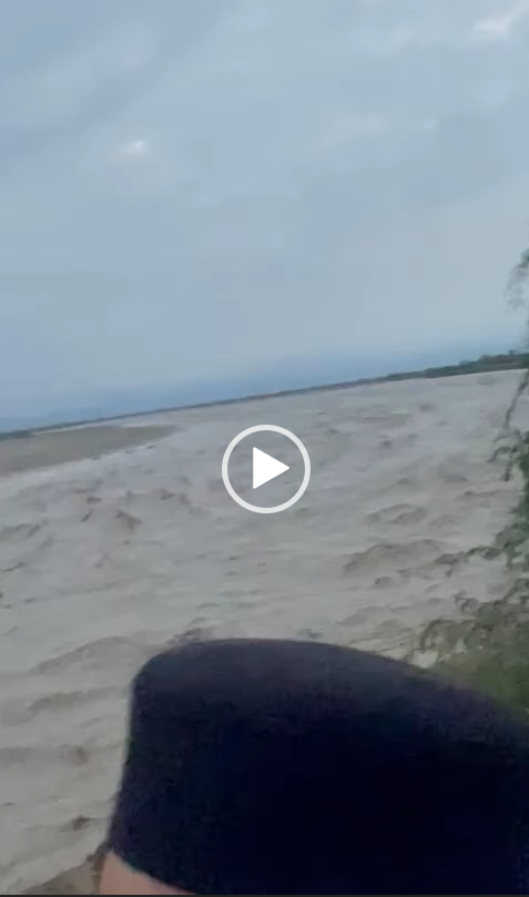 Video thumb